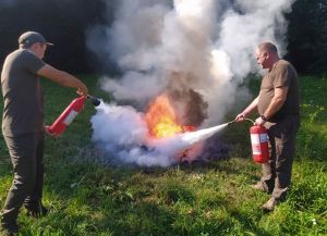 Закарпаття: Налагоджено протидію вогню у лісах